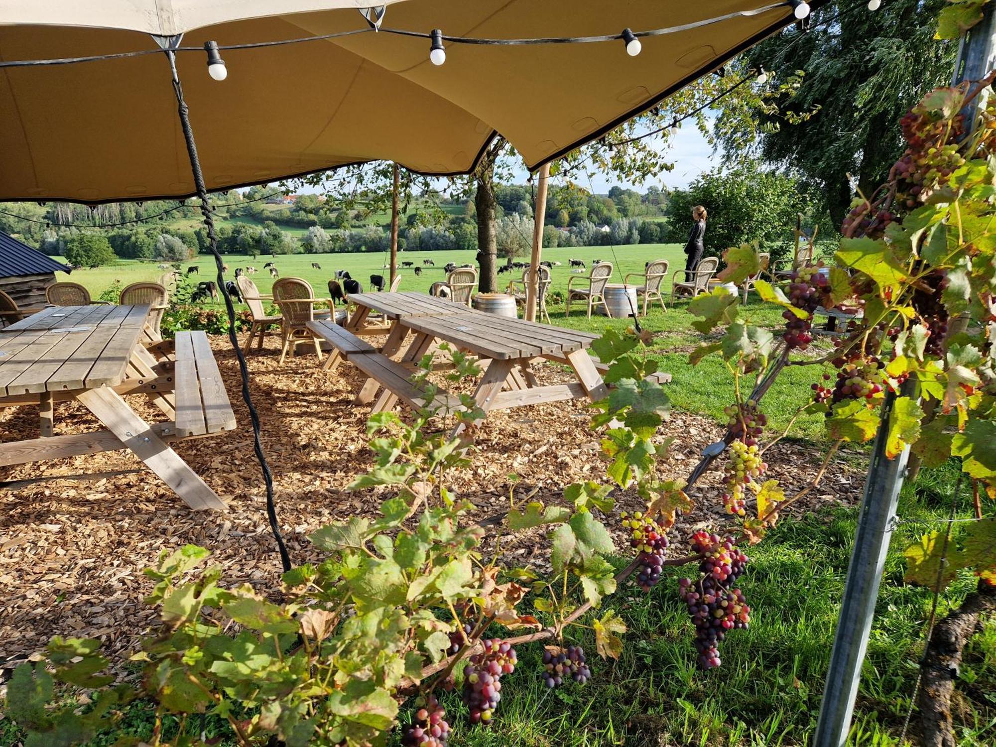 Steef'S Vakantiehuis Zuid Limburg Simpelveld Εξωτερικό φωτογραφία